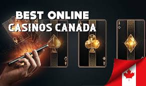 Discover the Best Live Casino Sites for 2023