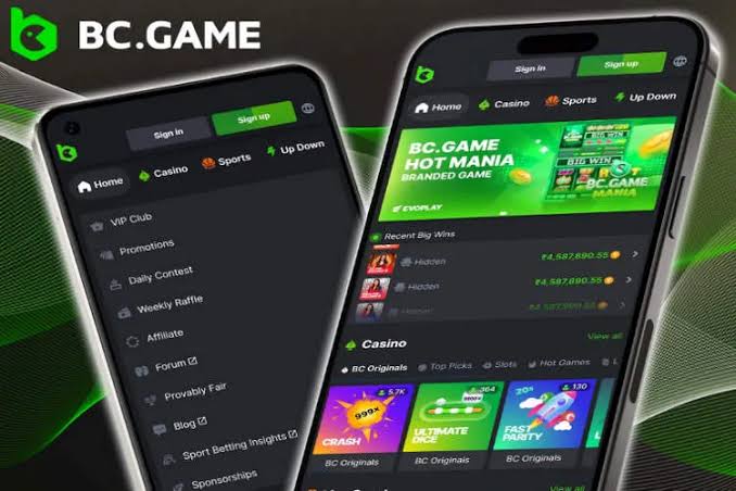 Exploring BC.Game Mirror The Ultimate Gateway to Online Gaming